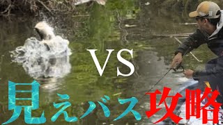 魚が丸見え！スーパーロコが徹底攻略！【バス釣り】