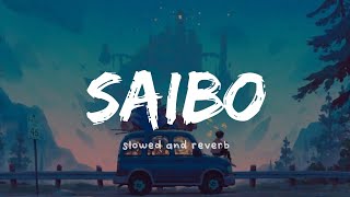 Saibo ( slowed and reverb ) | Shor In The City | Nexus Music