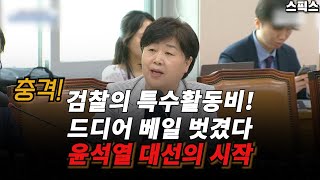 충격! 검찰의 특수활동비 드디어 베일이 벗겨졌다! 윤석열 대선의 시작이 이거라고?