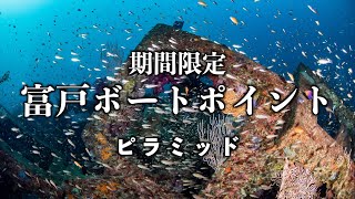 【水中世界】富戸ボート・ピラミッド