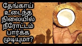 தேங்காய் உடைந்த நிலையில் நீரோட்டம் பார்க்க முடியுமா? | 2 August 2018