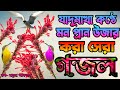 বিসমিল্লাহ বলিয়া আমি শুরু করলাম ভাই,New Bangla Gojol, Islamic Song Islamic Gojol, By Machuma Aktar