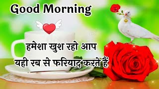 Good morning everyone friend Radhe Radhe 🙏🙏