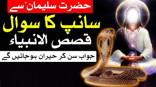Hazrat Suleman Se Snake Ka Sawal | qasas ul anbiya | Mehrban Ali | Snap | Nabi | Solomon in Islam