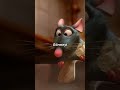 ratatouille filminden geçmişi bırakıp geleceğe odaklanmamız gerektiğini anlatan replik