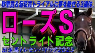 秋華賞＆菊花賞トライアルに夢を馳せる3連休...こりゃ競馬三昧！？   /    ローズS(GⅡ)阪神   /   セントライト記念(GⅡ)中山　出走馬トレセンパドック2023