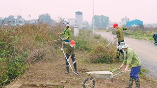 Shock! Sidewalk Revival Under Tall Grass