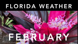 Florida Weather: February