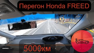 Перегон Фрида 5000 км по России