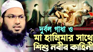 মা হালিমার দুর্বল গাধা ও শিশু নবীর কাহিনী! ismail bukhari new waz