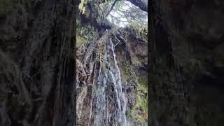 Waterfall Video | Nature Video - 7