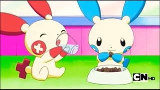 Plusle And Minun's Cute Moments