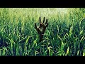 In the Tall Grass Movie Explained (HINDI) |Tall Grass Horror/Drama Full Film Summarized हिंदी /اردو