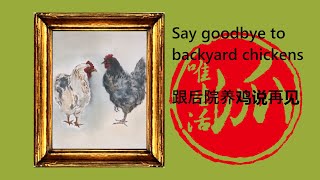 Say goodbye to backyard chickens (跟后院养鸡说再见）