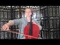 Leipzig Cello + Larsen Aurora String Set