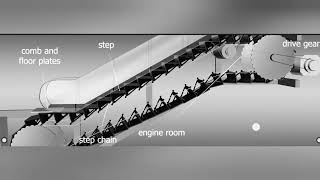 How to work escalator 3d animated video.