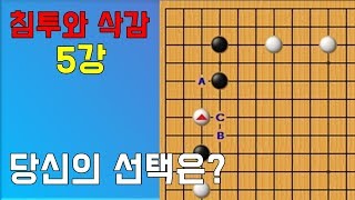 침투와 삭감 5강 [소목 큰 눈목자 침투!] 바둑 강의