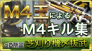 【荒野行動】M4王によるキル集 part12 [芝刈り機〆抜武] [αDNoob]