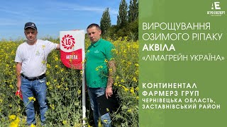 Досвід вирощування озимого ріпаку АКВІЛА (Лімагрейн) в Континентал Фармерз Груп у Чернівецькій обл.