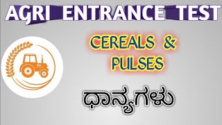 Cereals and Pulses in Kannada | ಧಾನ್ಯಗಳು | Agri Practical Test | Biology Basics | BioGoogle