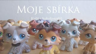 LPS - Moje sbírka kolií a kokršpanělů