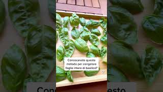 Conoscevate questo metodo per congelare le foglie intere di basilico 🌿? #basilico #basil #erbe