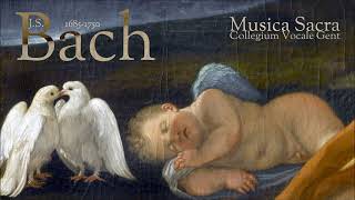 J.S. Bach - Musica Sacra