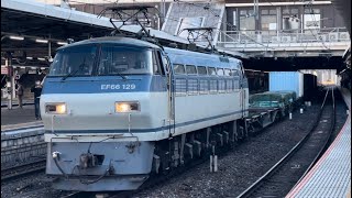 【ジョイント音最高！】JR貨物EF66形100番台129号機＋コキ23B（両）が警笛を鳴らしながら大宮駅10番線を通過するシーン（4093レ・吹A9・コンテナ輸送）2025.1.9