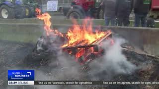 Farmers in Belgium hold protests against EU regulations