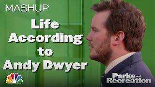 Life According to Andy Dwyer - Parks and Recreation