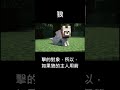 狼 開發初期的 minecraft 麥塊地城 麥塊 我的世界