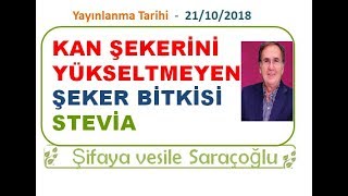 ŞEKER YERİNE KAN ŞEKERİNİ YÜKSELTMEYEN  STEVİA BİTKİSİNİ KULLANIN ~ Şifaya vesile Saraçoğlu