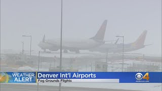 Fog Forces Flight Delays And Cancellations At Denver Airport