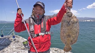 【釣り百景】#241 狙え！夢の座布団カレイ 北海道・函館