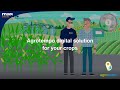 Agrotempo digital solution I MAS Seeds