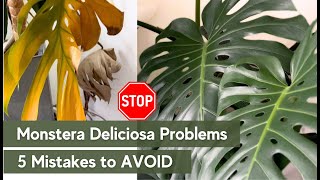 Monstera Deliciosa Problems ✅ 5 Mistakes to Avoid! Monstera Plant Care Tips