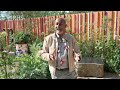 How to add design features to your garden | Take Home Chelsea | The RHS