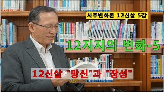 사주변화론 12신살 5강 망신과장성 내사주 내가 본다 12신살중 \