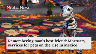 Remembering man’s best friend: Mortuary services for pets on the rise in Mexico