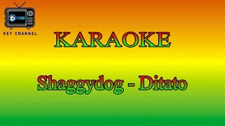 KARAOKE Reggae Shaggydog - Ditato