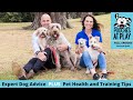 Dog training tips, pet health, dog grooming & expert dog advice | S6 Full Ep3 | Pooches at Play