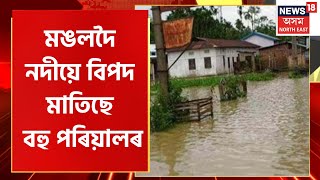 Mangaldoi Flood : বাঢ়ি অহা মঙলদৈ নদীয়ে বিপদ মাতিছে মোৱামাৰী অঞ্চলৰ | Assam Flood