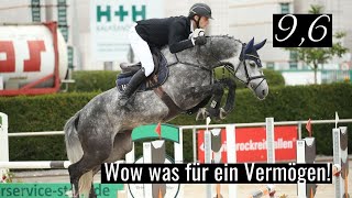 Wow was für ein Vermögen! 😱 | Diakato (Diacontinus x Stakkato) | mit 9,6 für das Bundeschampionat