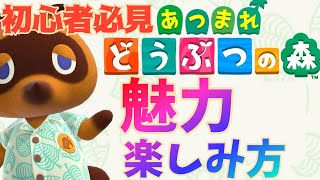 【初心者向け】あつ森をやる前に知っておきたいこと、魅力や楽しみ方を解説！【集まれどうぶつの森】