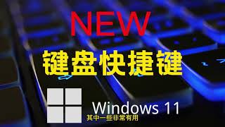 windows11新键盘快捷键，你应该试试