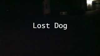 W&K Studios: Lost Dog [HD]
