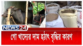 গো খাদ্যের দাম হঠাৎ বৃদ্ধির কারণ কি ? News24