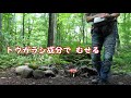 【完ソロ】熊に出会えるキャンプ場で、ドキドキ焼肉デイキャンプ