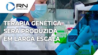 Terapia genética será produzida em larga escala