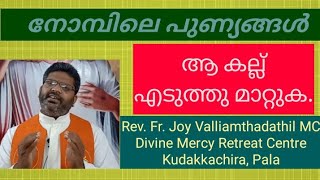 ആ കല്ല് എടുത്തു മാറ്റുക (Rev. Fr. Joy Valliamthadathil MC)